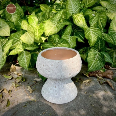 Chậu gốm sứ Bát Tràng men sôi trắng khoan lỗ - Trang trí hoa lan, nội thất, giá 129.000 VND 3