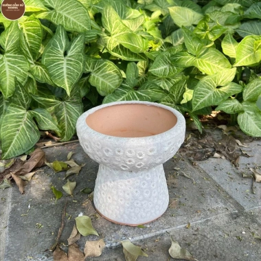 Chậu gốm sứ Bát Tràng men sôi trắng khoan lỗ - Trang trí hoa lan, nội thất, giá 129.000 VND 5