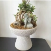 Chậu gốm sứ Bát Tràng men sôi trắng khoan lỗ - Trang trí hoa lan, nội thất, giá 129.000 VND 6