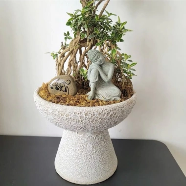 Chậu gốm sứ Bát Tràng men sôi trắng khoan lỗ - Trang trí hoa lan, nội thất, giá 129.000 VND 6