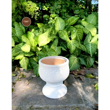 Chậu gốm sứ Bát Tràng men sôi trắng khoan lỗ - Trang trí hoa lan, nội thất, giá 129.000 VND 8