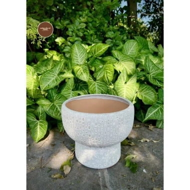 Chậu gốm sứ Bát Tràng men sôi trắng khoan lỗ - Trang trí hoa lan, nội thất, giá 129.000 VND 9