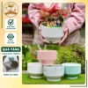 Chậu gốm sứ dáng ly kẻ sọc - Trồng cây cảnh, hoa lan, để bàn, ban công, phong cách hiện đại - Giá chỉ 92.000₫