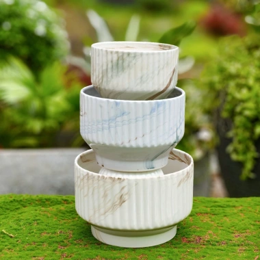 Chậu gốm sứ dáng ly kẻ sọc - Trồng cây cảnh, hoa lan, để bàn, ban công, phong cách hiện đại - Giá chỉ 92.000₫