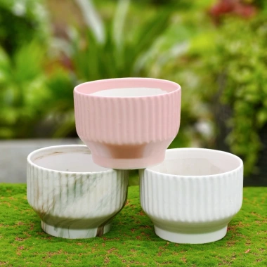 Chậu gốm sứ dáng ly kẻ sọc - Trồng cây cảnh, hoa lan, để bàn, ban công, phong cách hiện đại - Giá chỉ 92.000₫