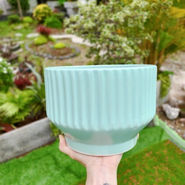 Chậu gốm sứ dáng ly kẻ sọc - Trồng cây cảnh, hoa lan, để bàn, ban công, phong cách hiện đại - Giá chỉ 92.000₫
