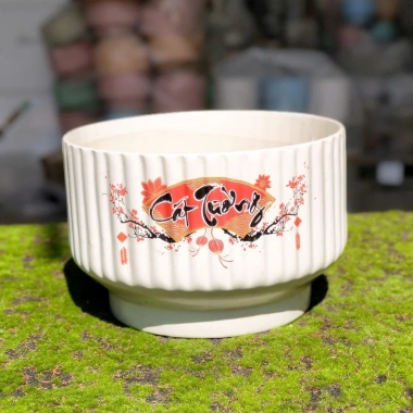 Chậu gốm sứ dáng ly kẻ sọc - Trồng cây cảnh, hoa lan, để bàn, ban công, phong cách hiện đại - Giá chỉ 92.000₫