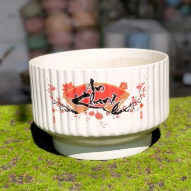 Chậu gốm sứ dáng ly kẻ sọc - Trồng cây cảnh, hoa lan, để bàn, ban công, phong cách hiện đại - Giá chỉ 92.000₫
