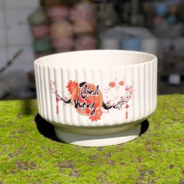 Chậu gốm sứ dáng ly kẻ sọc - Trồng cây cảnh, hoa lan, để bàn, ban công, phong cách hiện đại - Giá chỉ 92.000₫