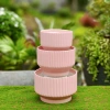Chậu gốm sứ dáng ly kẻ sọc - Trồng cây cảnh, hoa lan, để bàn, ban công, phong cách hiện đại - Giá chỉ 92.000₫ 10