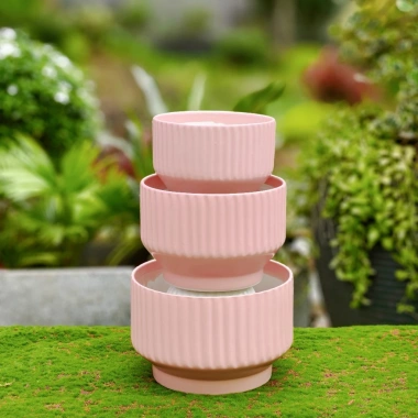 Chậu gốm sứ dáng ly kẻ sọc - Trồng cây cảnh, hoa lan, để bàn, ban công, phong cách hiện đại - Giá chỉ 92.000₫