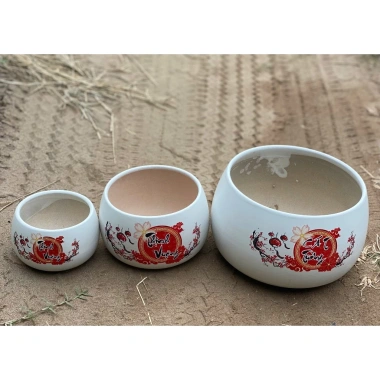 Chậu gốm sứ hoa đào trồng cây trang trí để bàn - Mẫu chữ đa dạng, giá 35.000 VND