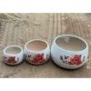 Chậu gốm sứ hoa đào trồng cây trang trí để bàn - Mẫu chữ đa dạng, giá 35.000 VND 6
