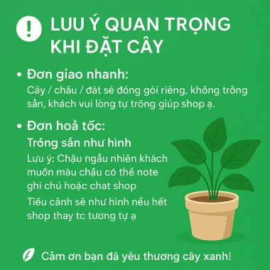 Chậu gốm tiểu cảnh xương rồng sen đá - Quà tặng trang trí xinh xắn, 199.000đ