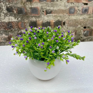 Chậu hoa cắm sẵn chiêm điểm hồng, hoa chuông xinh - Trang trí bàn, kệ, chỉ 69.000₫ 7 Chậu hoa cắm sẵn chiêm điểm hồng, hoa chuông xinh - Trang trí bàn, kệ, chỉ 69.000₫ 7