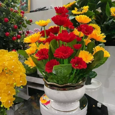 Chậu hoa đồng tiền Mik màu vàng đỏ – Trang trí mọi không gian, giảm còn 350.000₫