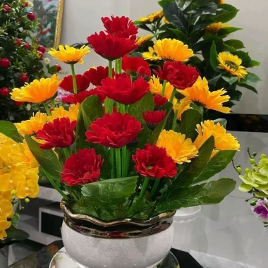 Chậu hoa đồng tiền Mik màu vàng đỏ – Trang trí mọi không gian, giảm còn 350.000₫