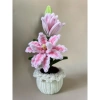 Chậu hoa ly kép kẽm nhung sang trọng, khuyến mãi 59.000 VNĐ, giảm 11.800