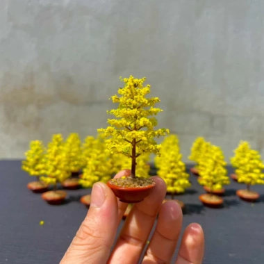 Chậu hoa mai tết mô hình 1:18 - cao 7cm x rộng 4cm, diorama, giảm giá 60.000₫