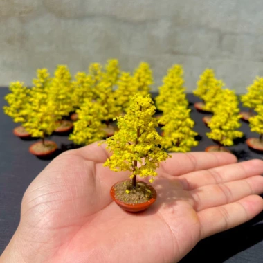 Chậu hoa mai tết mô hình 1:18 - cao 7cm x rộng 4cm, diorama, giảm giá 60.000₫ 6 Chậu hoa mai tết mô hình 1:18 - cao 7cm x rộng 4cm, diorama, giảm giá 60.000₫ 6