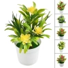 Chậu hoa Mini EHES Trang trí văn phòng và sân vườn ngoài trời, giá ưu đãi 31.208₫ 2