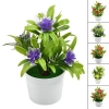 Chậu hoa Mini EHES Trang trí văn phòng và sân vườn ngoài trời, giá ưu đãi 31.208₫ 6