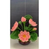 Chậu hoa sen kẽm nhung thành phẩm + chậu sứ – Giá ưu đãi 279.000đ, giảm tới 20% 3