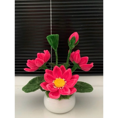 Chậu hoa sen kẽm nhung thành phẩm + chậu sứ – Giá ưu đãi 279.000đ, giảm tới 20% 5 Chậu hoa sen kẽm nhung thành phẩm + chậu sứ – Giá ưu đãi 279.000đ, giảm tới 20% 5