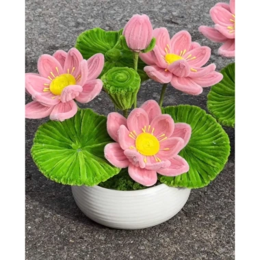 Chậu hoa sen kẽm nhung thành phẩm + chậu sứ – Giá ưu đãi 279.000đ, giảm tới 20%