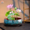 Chậu hoa thủy canh đa năng gốm tròn - Trồng sen tại nhà, chỉ 184.800₫ 2