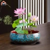 Chậu hoa thủy canh đa năng gốm tròn - Trồng sen tại nhà, chỉ 184.800₫ 3