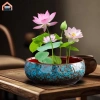 Chậu hoa thủy canh đa năng gốm tròn - Trồng sen tại nhà, chỉ 184.800₫ 4