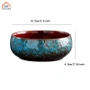 Chậu hoa thủy canh đa năng gốm tròn - Trồng sen tại nhà, chỉ 184.800₫ 6
