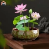 Chậu hoa thủy canh đa năng gốm tròn - Trồng sen tại nhà, chỉ 184.800₫ 7