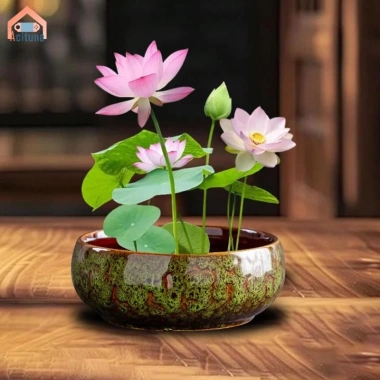 Chậu hoa thủy canh đa năng gốm tròn - Trồng sen tại nhà, chỉ 184.800₫ 8