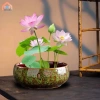Chậu hoa thủy canh đa năng gốm tròn - Trồng sen tại nhà, chỉ 184.800₫ 9