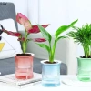 Chậu hoa thủy canh tự động lười biếng - Lọ hoa 2 lớp nhựa, tự tưới, văn phòng, 33.900₫