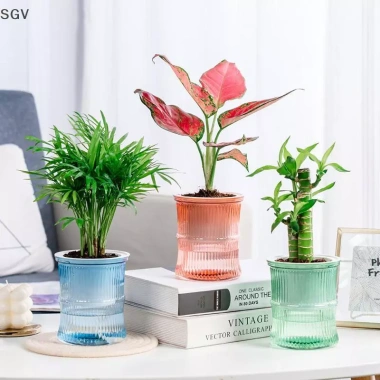 Chậu hoa thủy canh tự động lười biếng - Lọ hoa 2 lớp nhựa, tự tưới, văn phòng, 33.900₫ 2