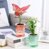 Chậu hoa thủy canh tự động lười biếng - Lọ hoa 2 lớp nhựa, tự tưới, văn phòng, 33.900₫ 3
