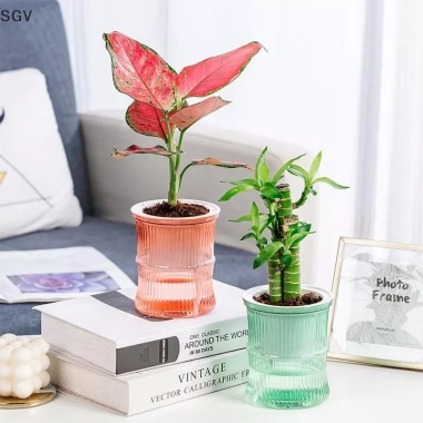 Chậu hoa thủy canh tự động lười biếng - Lọ hoa 2 lớp nhựa, tự tưới, văn phòng, 33.900₫ 3