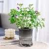 Chậu hoa thủy canh tự động lười biếng - Lọ hoa 2 lớp nhựa, tự tưới, văn phòng, 33.900₫ 4