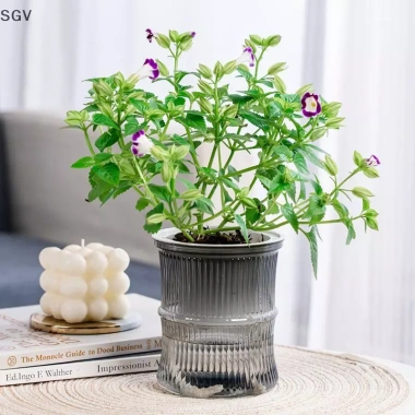 Chậu hoa thủy canh tự động lười biếng - Lọ hoa 2 lớp nhựa, tự tưới, văn phòng, 33.900₫ 4