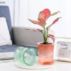 Chậu hoa thủy canh tự động lười biếng - Lọ hoa 2 lớp nhựa, tự tưới, văn phòng, 33.900₫ 5