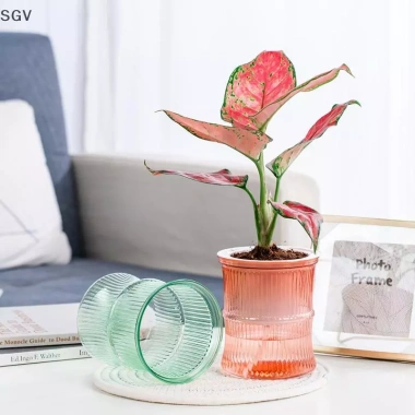 Chậu hoa thủy canh tự động lười biếng - Lọ hoa 2 lớp nhựa, tự tưới, văn phòng, 33.900₫ 5