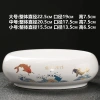 Chậu hoa thủy tiên gốm lớn cho cỏ đồng xu & sen - Giá ưu đãi 111.586₫ 3