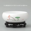 Chậu hoa thủy tiên gốm lớn cho cỏ đồng xu & sen - Giá ưu đãi 111.586₫ 8