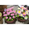 Chậu hoa tulip kẽm nhung Yagarden - Quà tặng 20/11 và Valentine, kèm hộp mika, giá ưu đãi 299.000₫ 6