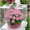 Chậu hoa tulip kẽm nhung Yagarden - Quà tặng 20/11 và Valentine, kèm hộp mika, giá ưu đãi 299.000₫ 7
