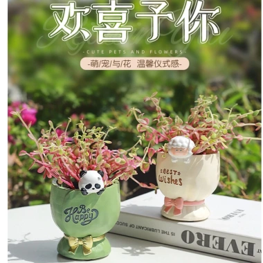 Chậu hoa và cây cảnh trang trí ban công thiết kế đơn giản sáng tạo giảm giá 20% 2