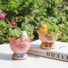 Chậu hoa và cây cảnh trang trí ban công thiết kế đơn giản sáng tạo giảm giá 20% 3